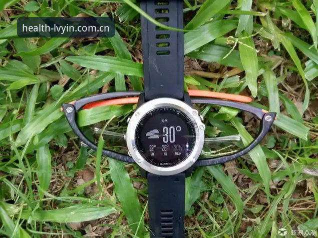 绿茵健康运动怎么样 绿茵体育平台深度评测:健康运动工具与品牌评测的全面体验报告